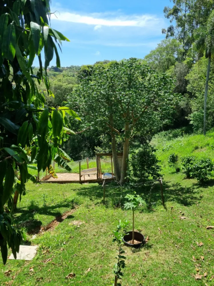 Chácara, 3 quartos, 6800 m² - Foto 10