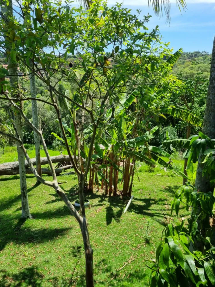 Chácara, 3 quartos, 6800 m² - Foto 12