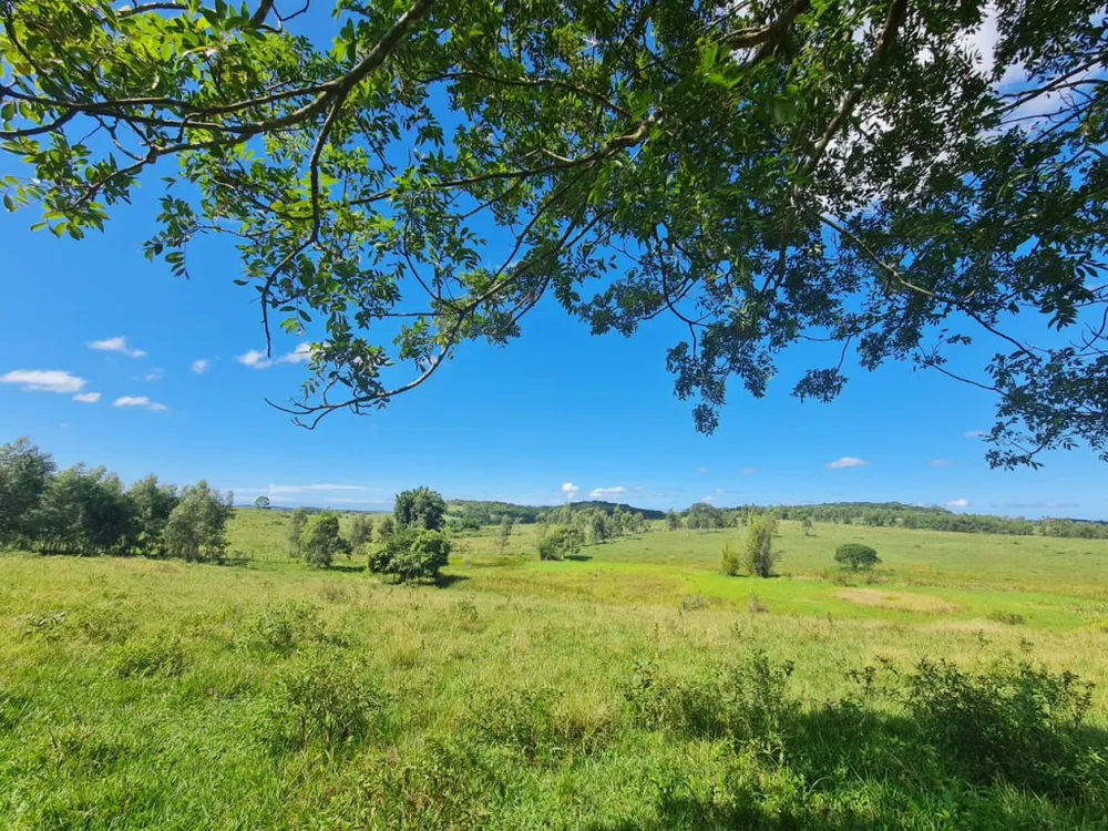 Fazenda - Foto 6