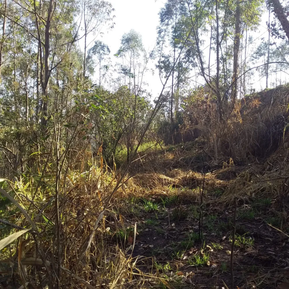 Terreno, 6700 m² - Foto 1