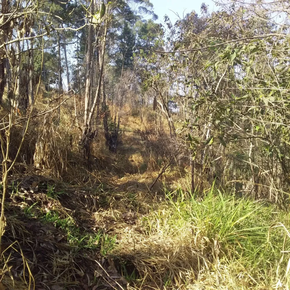 Terreno, 6700 m² - Foto 5