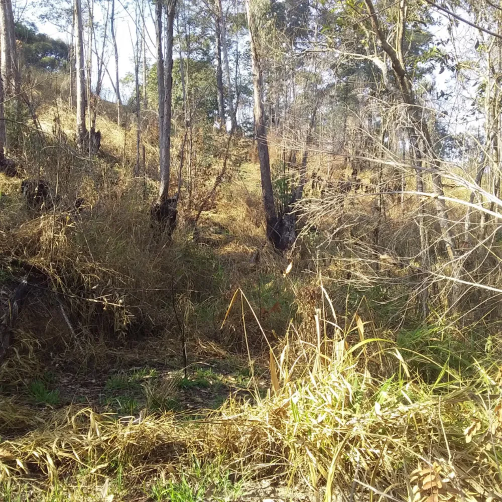 Terreno, 6700 m² - Foto 4