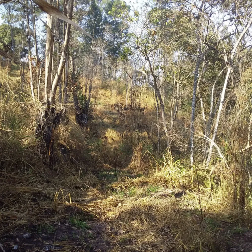 Terreno, 6700 m² - Foto 2