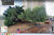 Prédio Inteiro, 200 m² - Foto 5