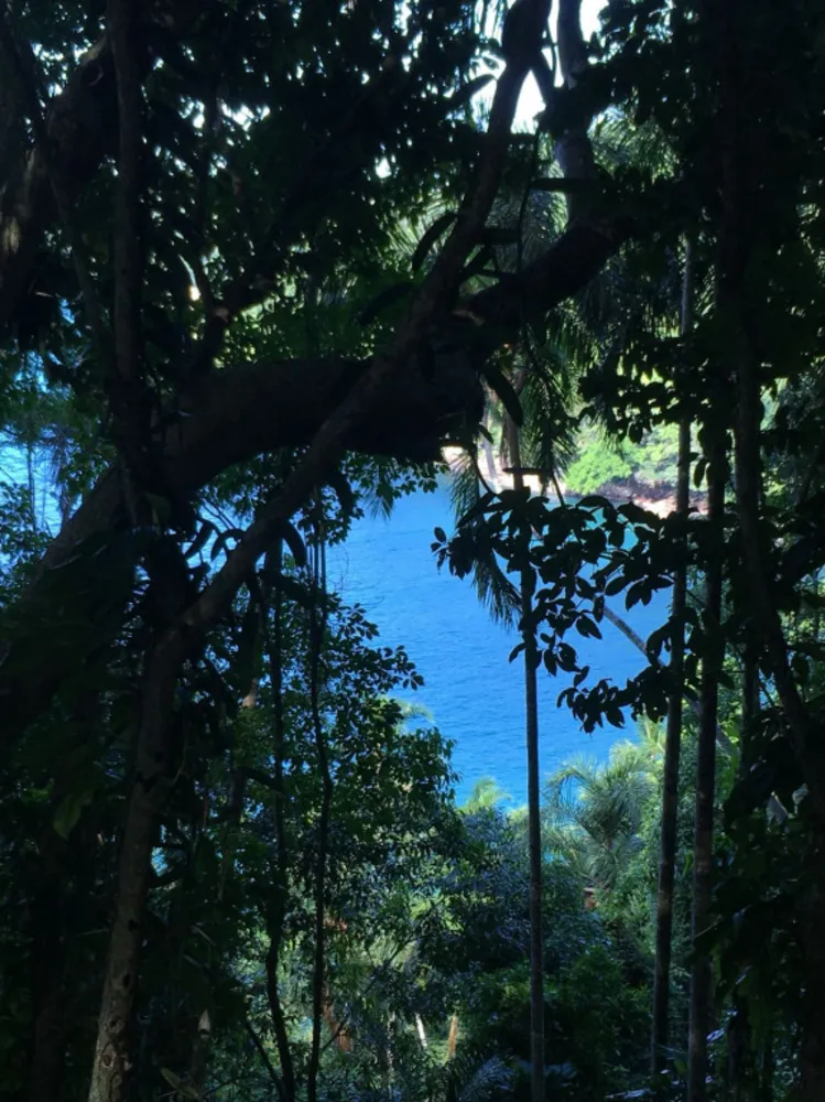 Terreno, 3 hectares - Foto 8