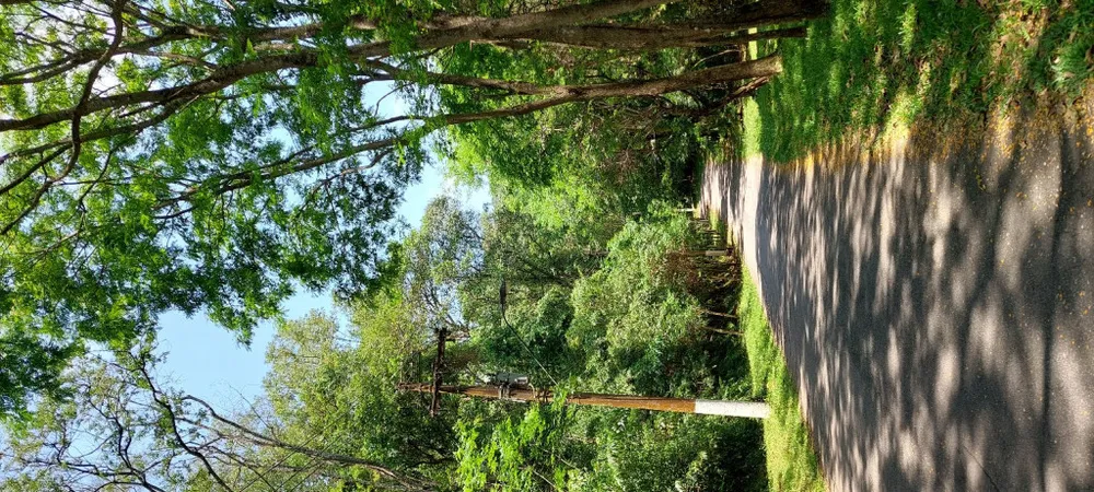 Terreno, 2500 m² - Foto 3