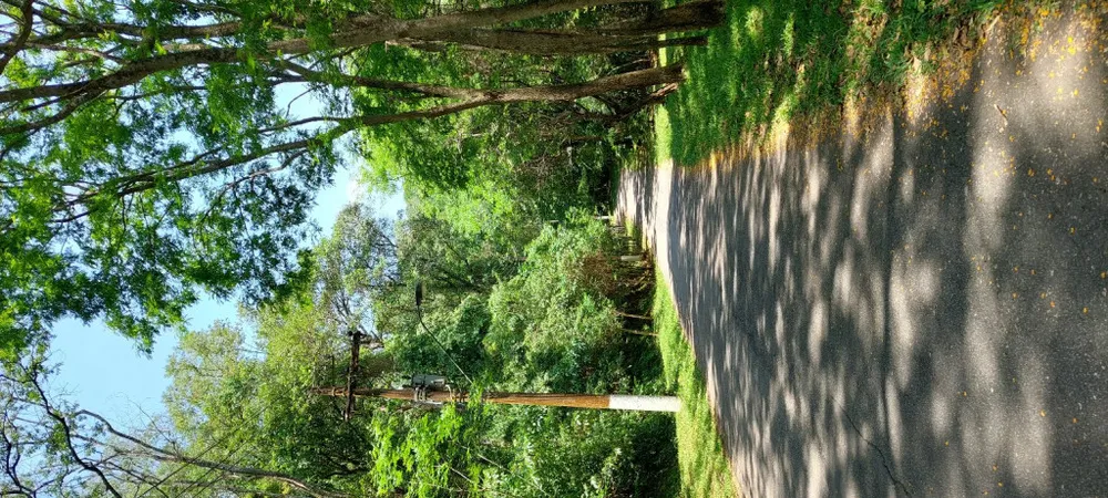 Terreno, 2500 m² - Foto 2