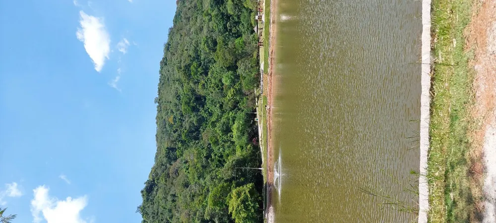 Terreno, 2500 m² - Foto 1