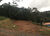 Terreno, 244 m² - Foto 3