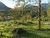 Terreno, 1200 m² - Foto 1