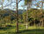 Terreno, 1200 m² - Foto 4