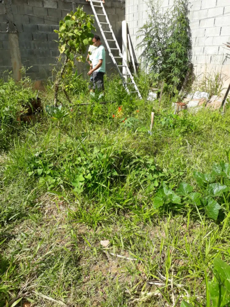 Casa, 1 quarto, 100 m² - Foto 6