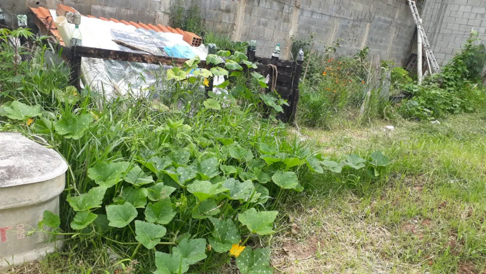 Casa, 1 quarto, 100 m² - Foto 13
