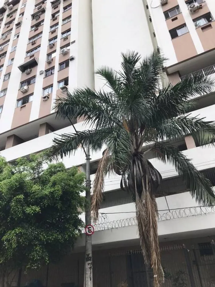 Apartamento, 2 quartos, 53 m² - Foto 1