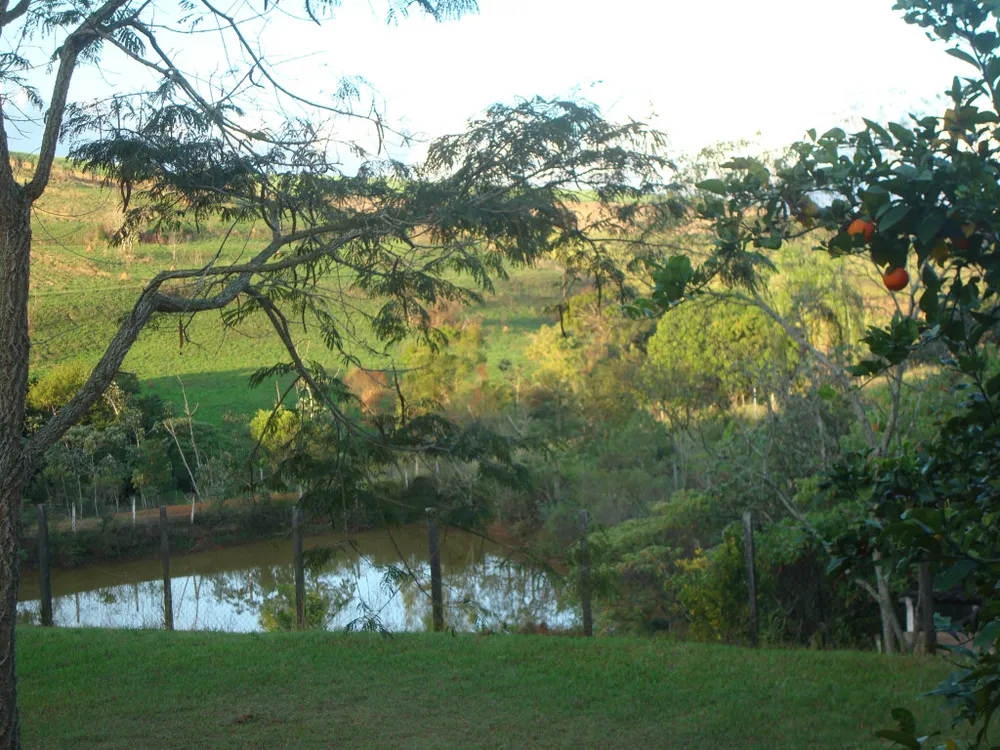 Chácara, 5 quartos, 2 hectares - Foto 6