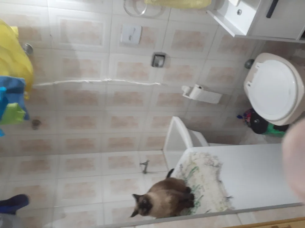 Apartamento, 1 quarto, 47 m² - Foto 6