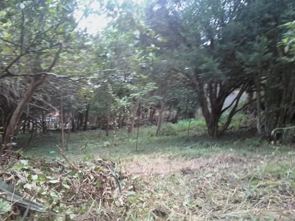 Chácara, 2 quartos, 7640 m² - Foto 1