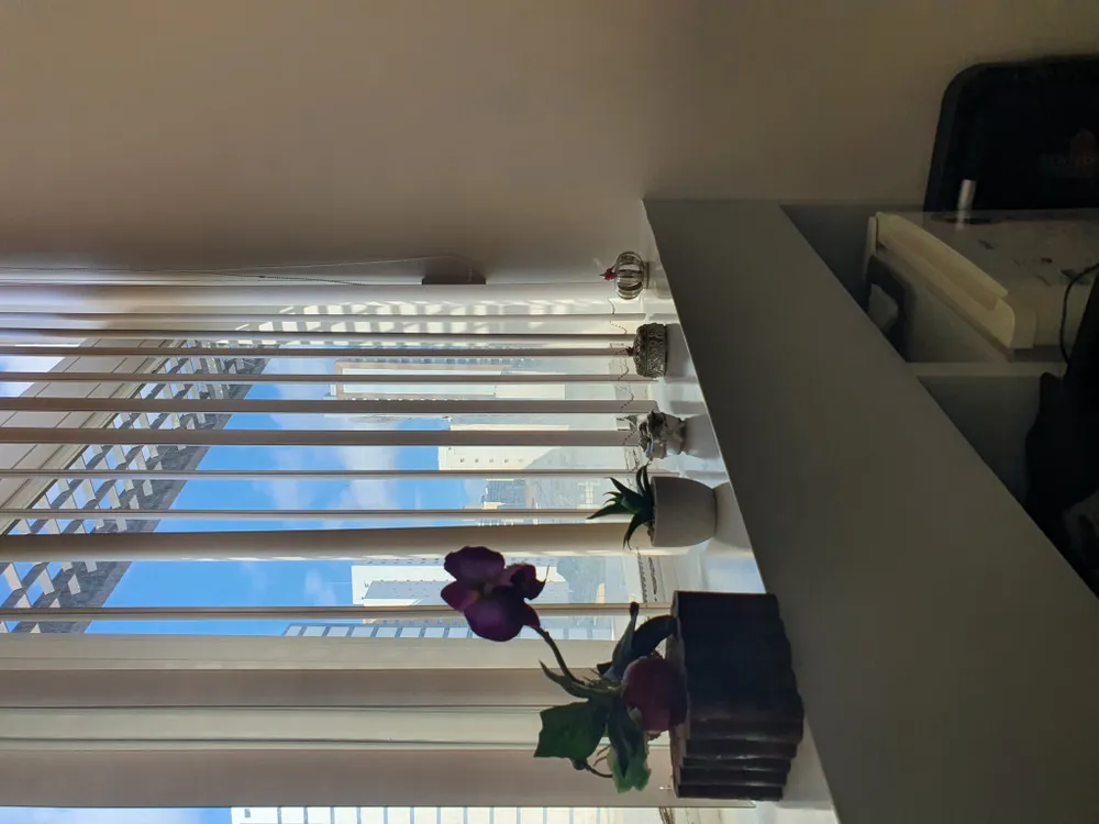 Sala-Conjunto, 26 m² - Foto 11