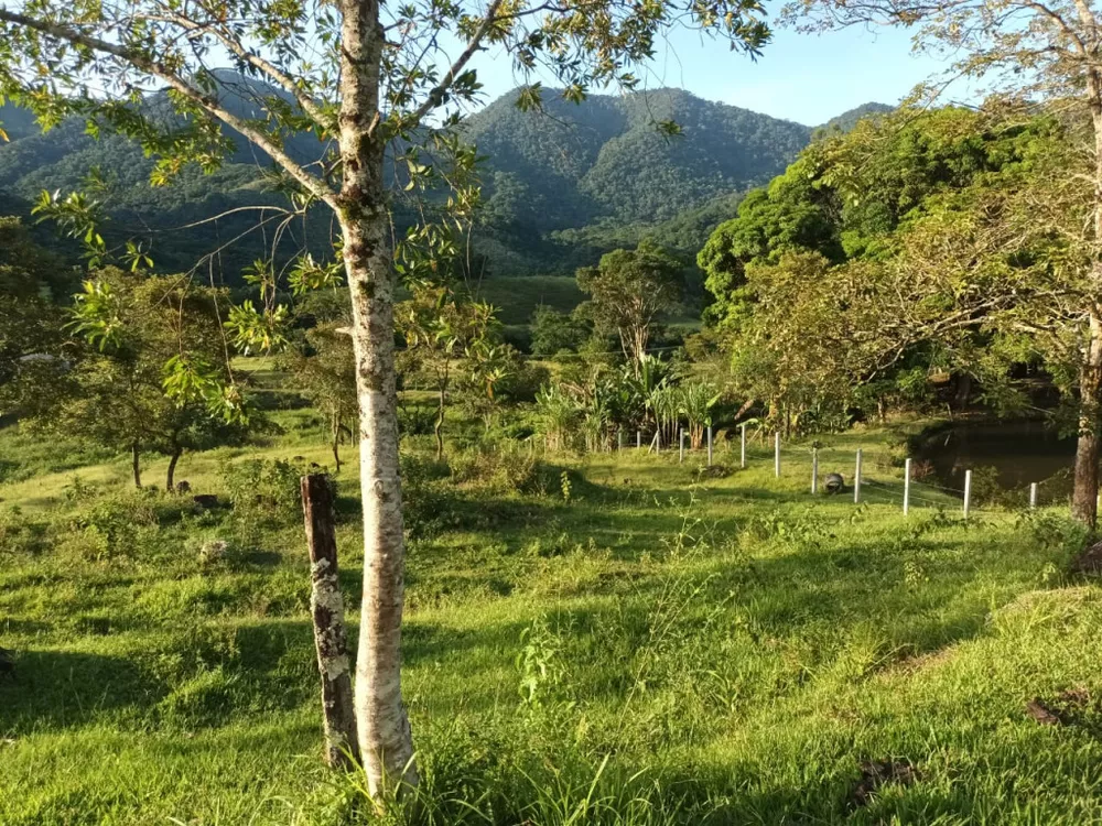Terreno, 1200 m² - Foto 2