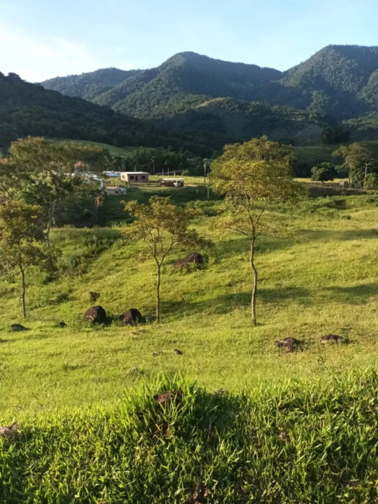 Terreno, 1200 m² - Foto 3