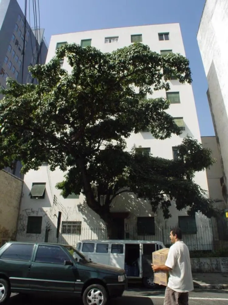 Apartamento, 2 quartos, 66 m² - Foto 1