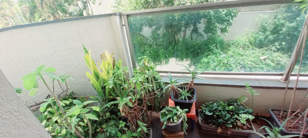Apartamento, 3 quartos, 130 m² - Foto 14