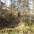 Terreno, 6700 m² - Foto 4