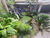 Casa, 4 quartos, 650 m² - Foto 1