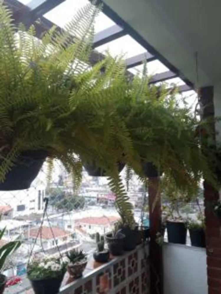 Apartamento, 3 quartos, 80 m² - Foto 1