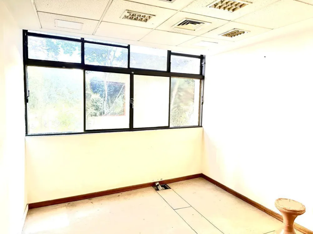 Sala-Conjunto, 600 m² - Foto 7