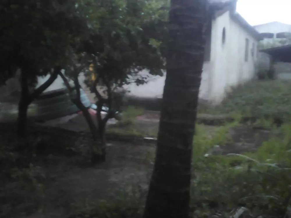 Casa, 3 quartos, 100 m² - Foto 29