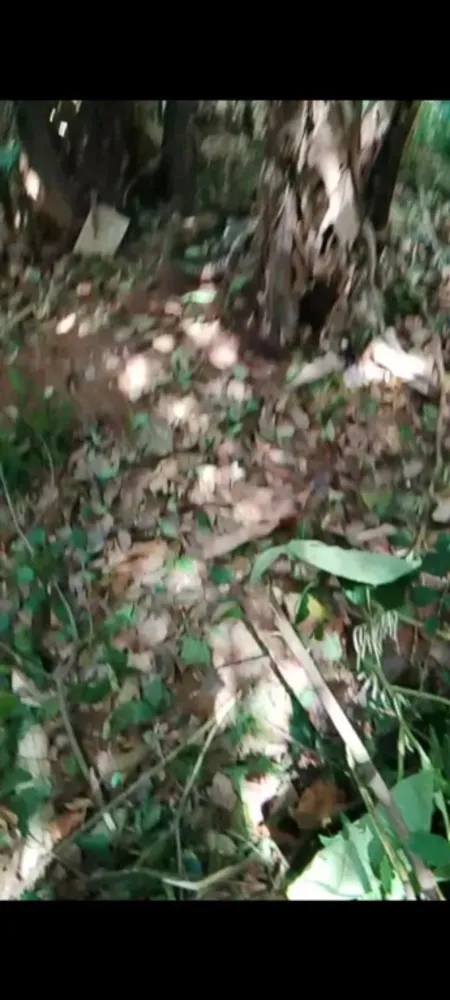 Terreno - Foto 1