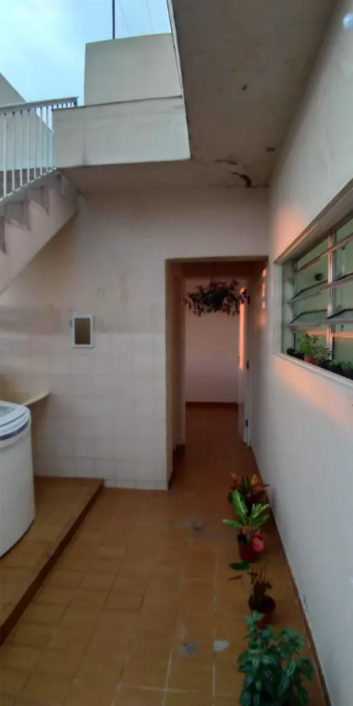 Casa, 4 quartos, 450 m² - Foto 3