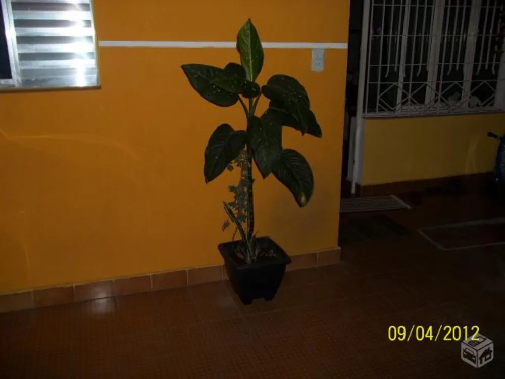 Casa, 2 quartos, 120 m² - Foto 2
