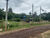Chácara, 1 hectares - Foto 1