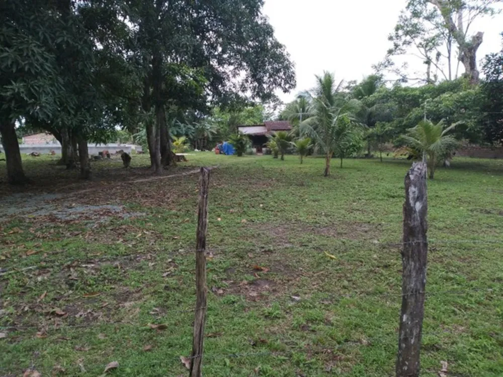 Casa, 25000 m² - Foto 2