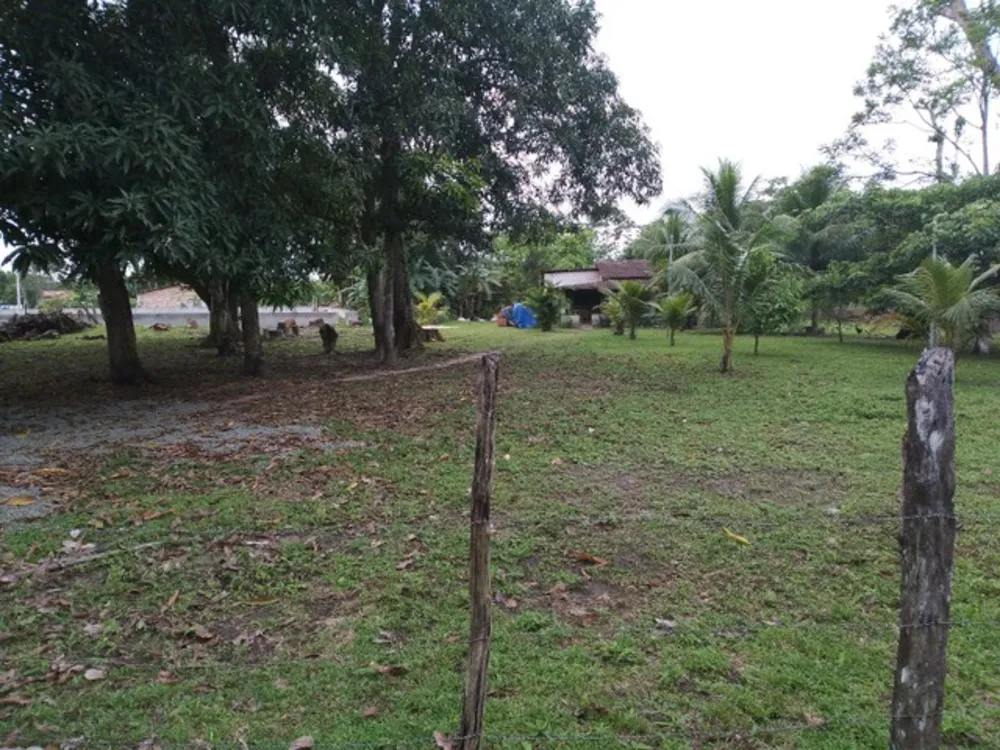 Casa, 25000 m² - Foto 3