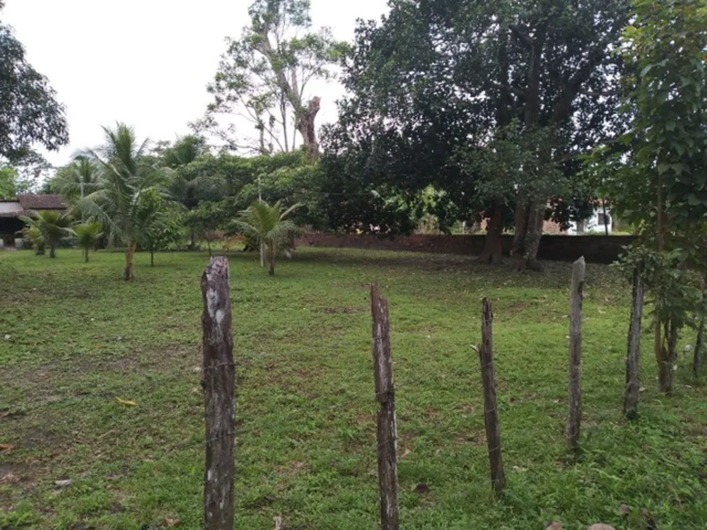 Casa, 25000 m² - Foto 1