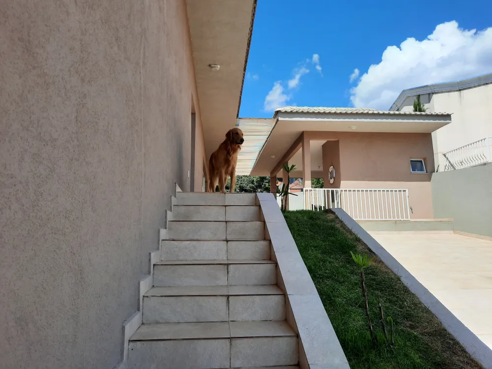 Casa, 4 quartos, 389 m² - Foto 5