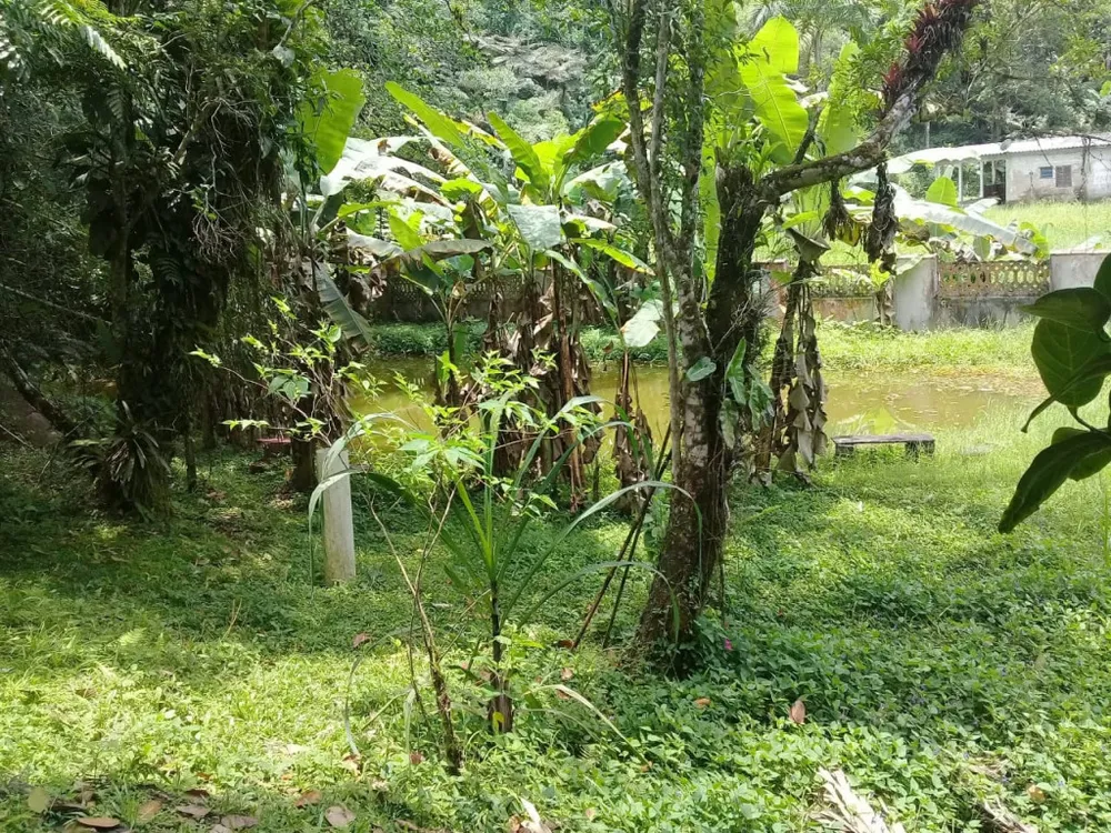 Sítio, 1 quarto, 2 hectares - Foto 6
