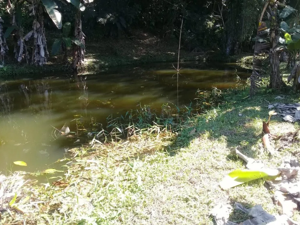 Sítio, 1 quarto, 2 hectares - Foto 12