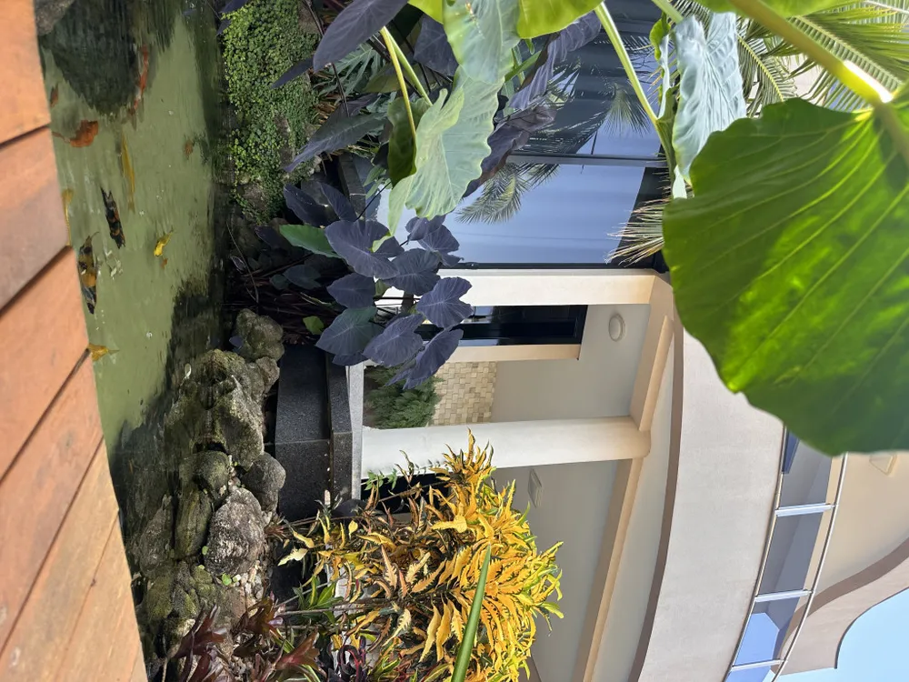 Casa, 4 quartos, 297 m² - Foto 10