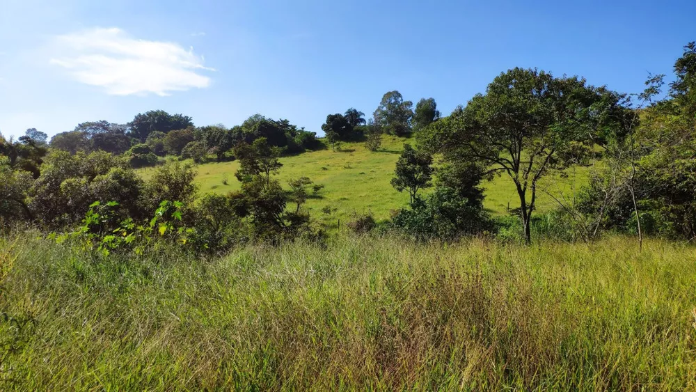 Terreno à venda, 8300m² - Foto 1