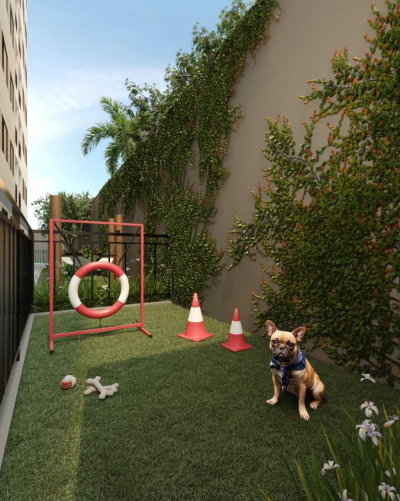 Apartamento, 1 quarto, 26 m² - Foto 10