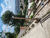 Casa, 2 quartos, 70 m² - Foto 8