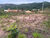 Terreno, 375 m² - Foto 4