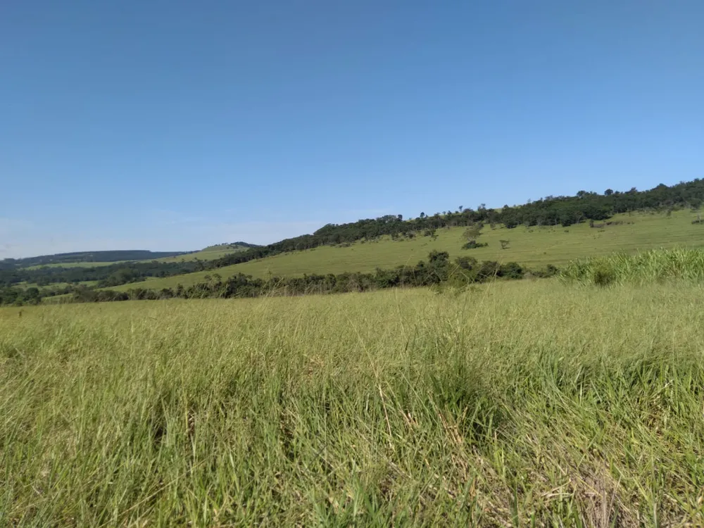 Chácara, 1160 m² - Foto 6