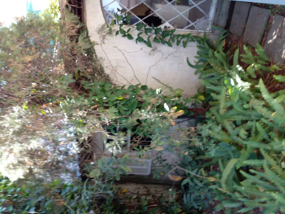 Casa, 4 quartos, 350 m² - Foto 1