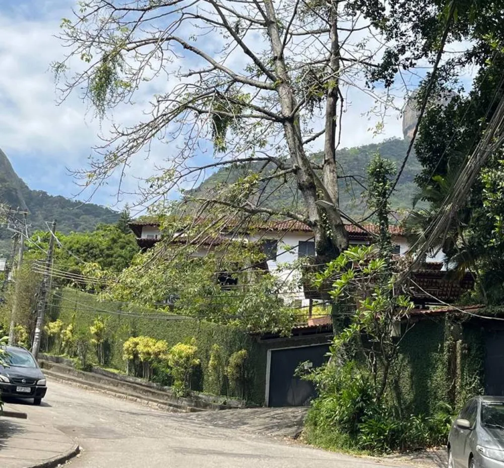 Casa, 6 quartos, 597 m² - Foto 3
