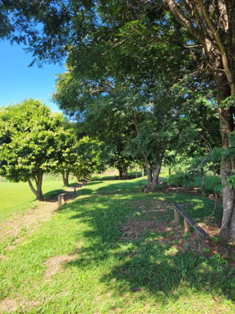 Sítio, 6 hectares - Foto 14